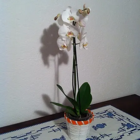 Apartament Chez Les Rosset La Salle